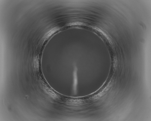 X0000111370921200907101208