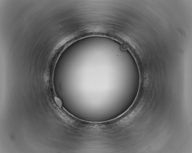 X0000111370922200907101208