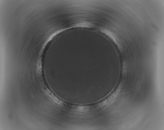 X0000111370923200907101208