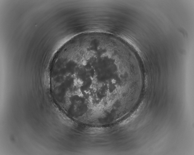 X0000111370925200907101208