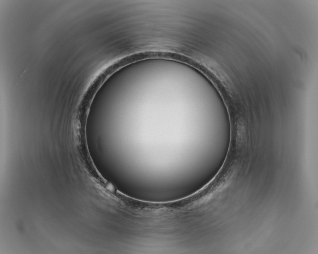 X0000111370926200907101208