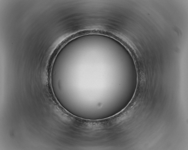 X0000111370927200907101208