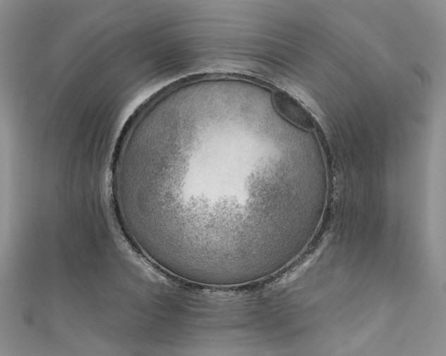 X0000111370928200907101208