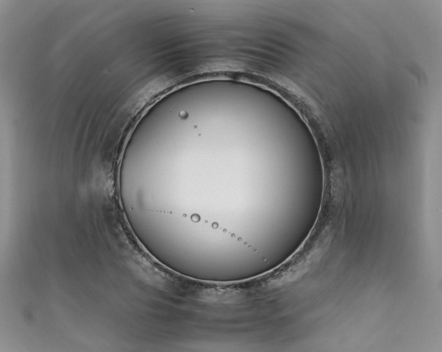 X0000111370929200907101208