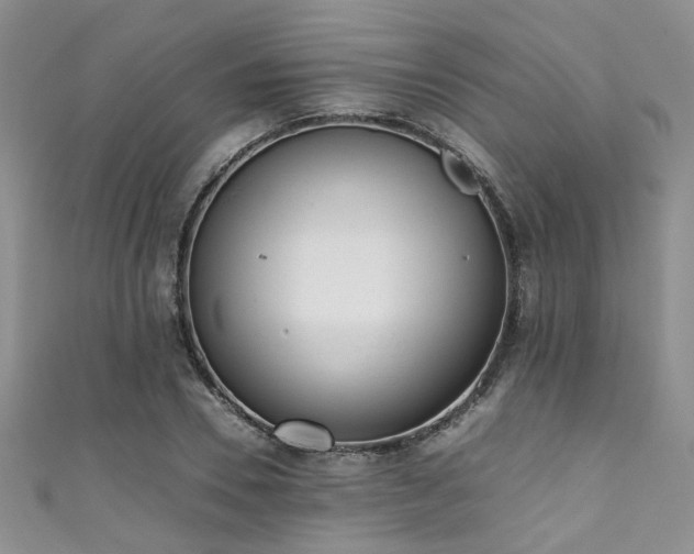 X0000111370930200907101208