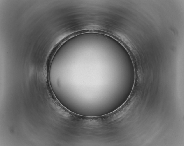 X0000111370931200907101208