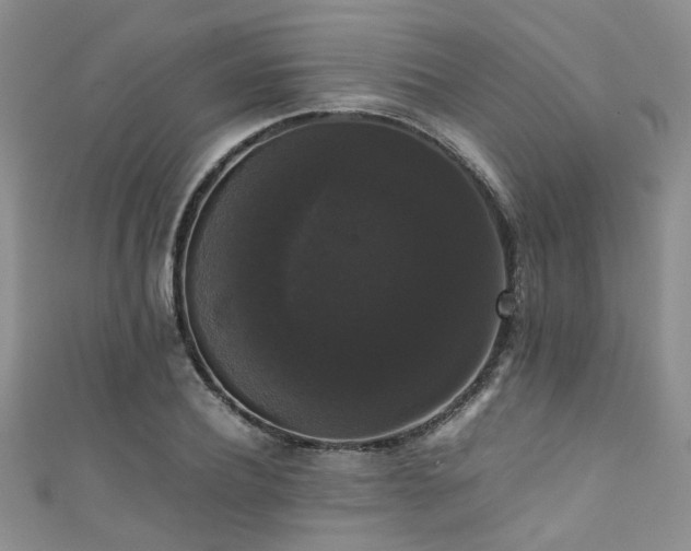 X0000111370932200907101208