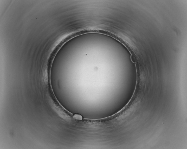 X0000111370934200907101208