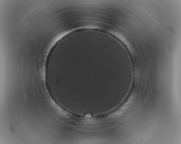 X0000111370935200907101208