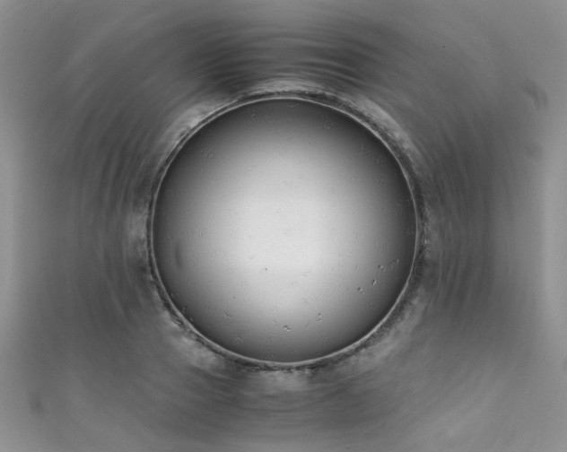 X0000111370937200907101208