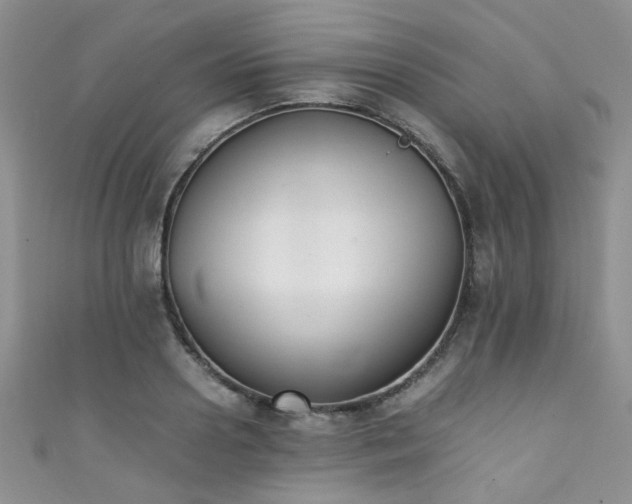 X0000111370938200907101208