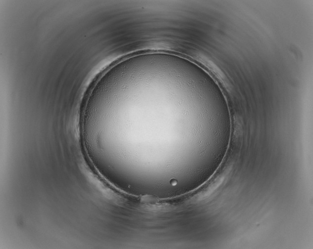 X0000111370939200907101208