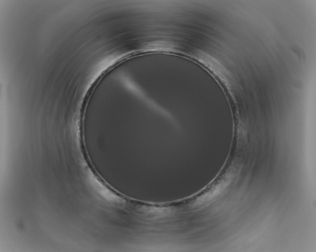 X0000111370941200907101208