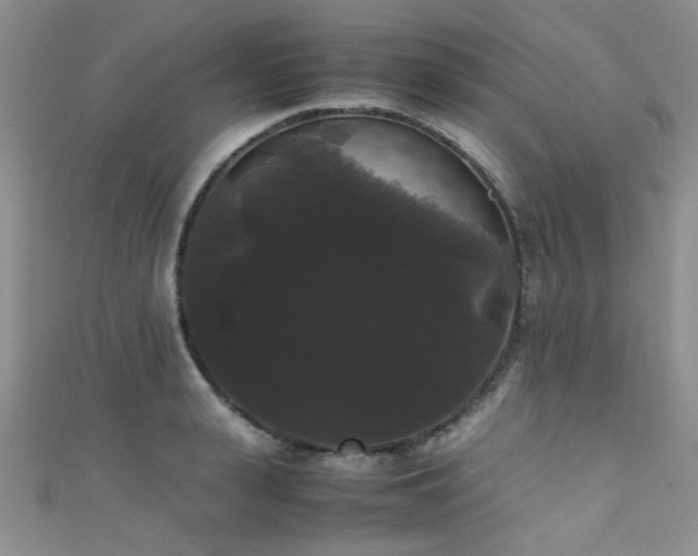 X0000111370943200907101208