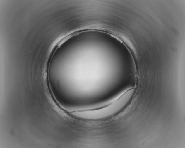 X0000111370944200907101208