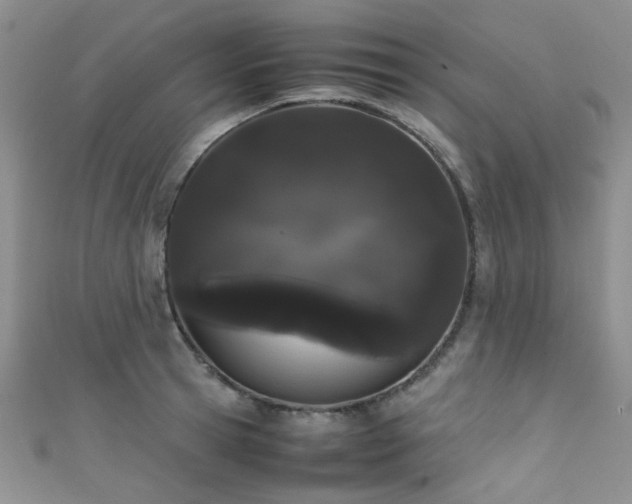 X0000111370945200907101208