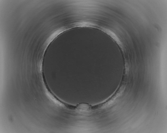 X0000111370946200907101208