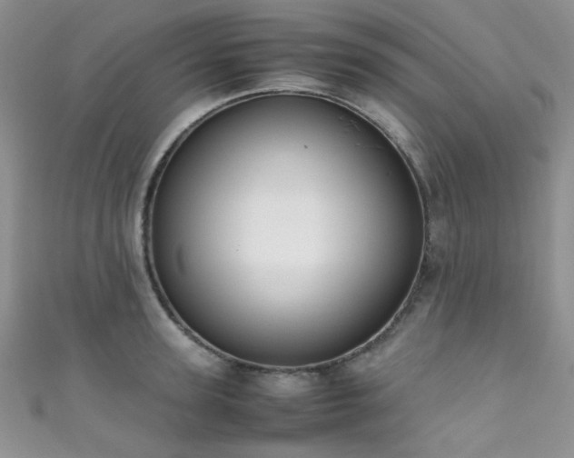 X0000111370947200907101208