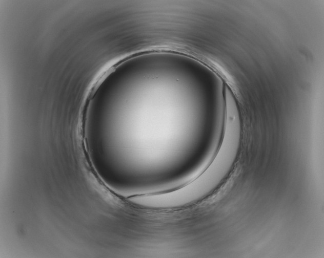 X0000111370948200907101208