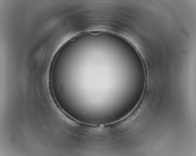 X0000111370949200907101208