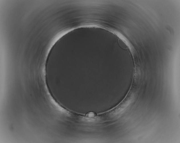 X0000111370951200907101208