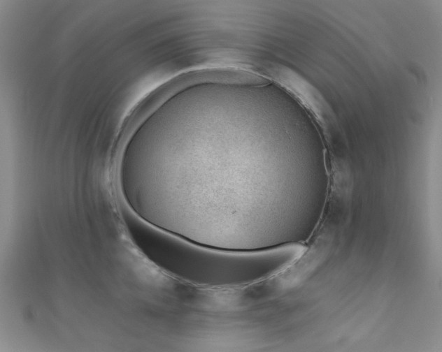 X0000111370952200907101208