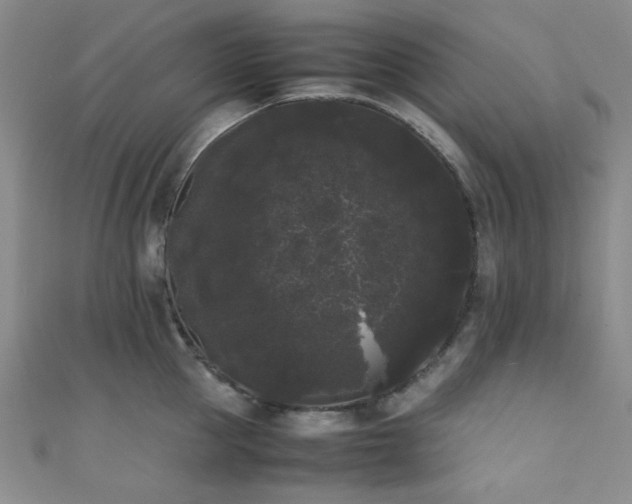 X0000111370953200907101208