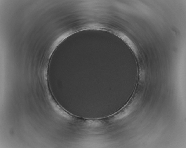 X0000111370954200907101208