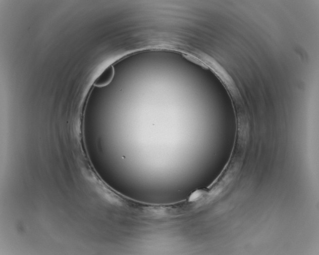 X0000111370956200907101208