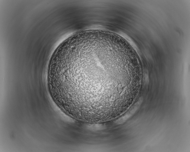 X0000111370957200907101208