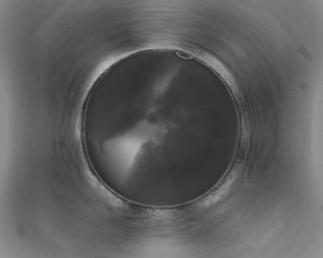 X0000111370958200907101208