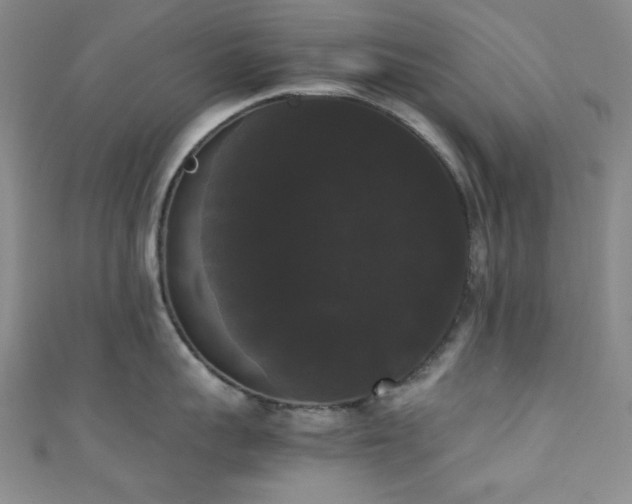 X0000111370959200907101208