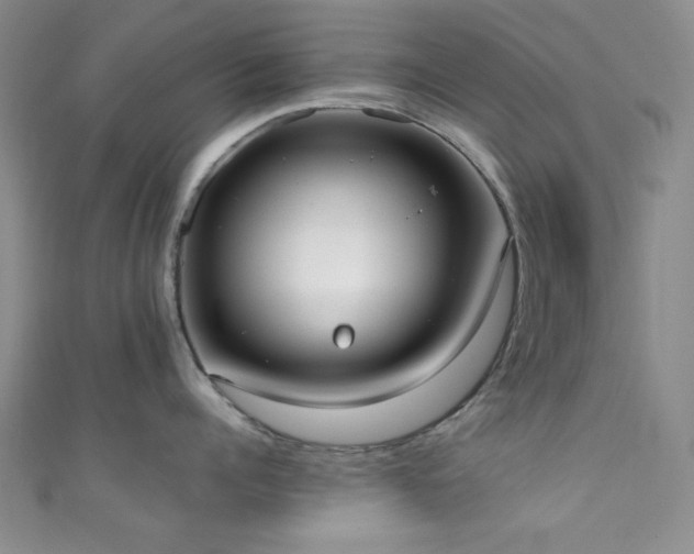 X0000111370960200907101208