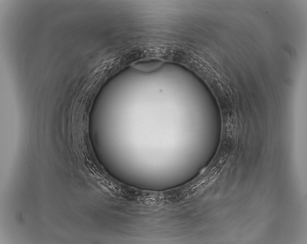 X0000111370961200907101208