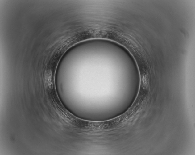X0000111370963200907101208