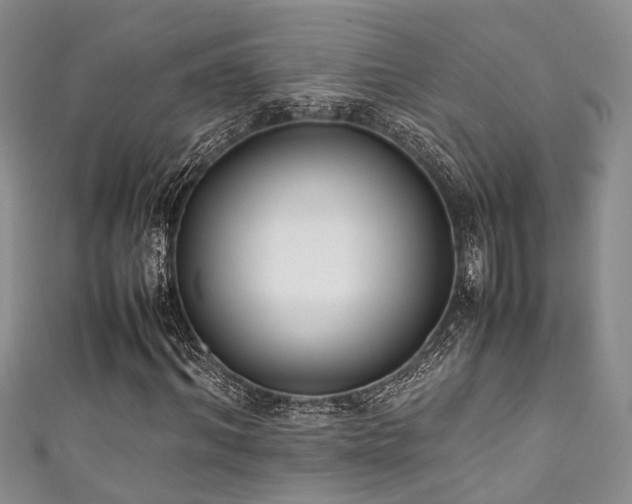 X0000111370964200907101208