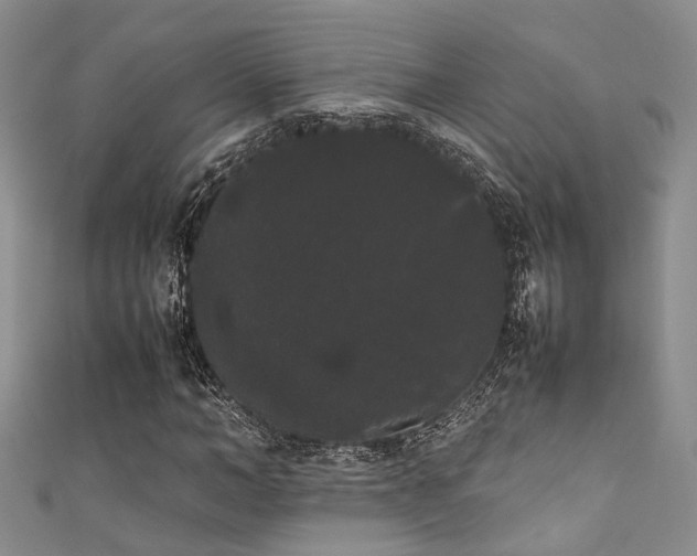 X0000111370966200907101208