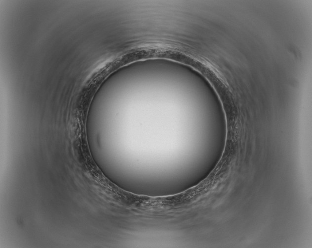 X0000111370967200907101208