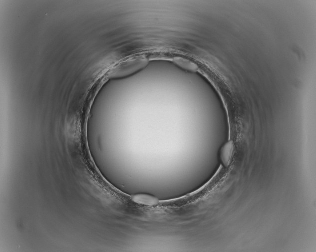 X0000111370969200907101208