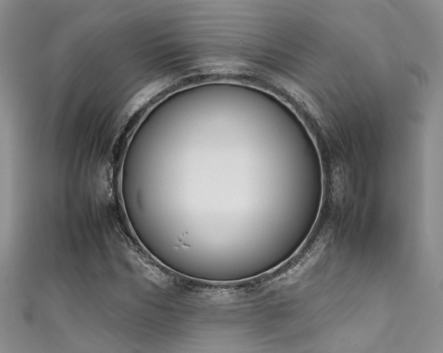 X0000111370970200907101208