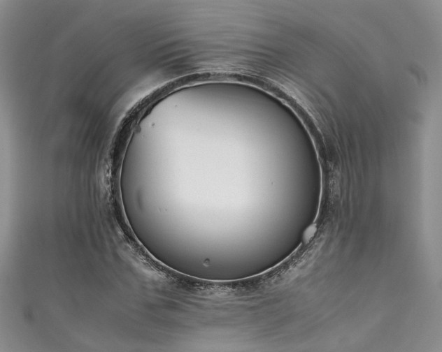 X0000111370971200907101208