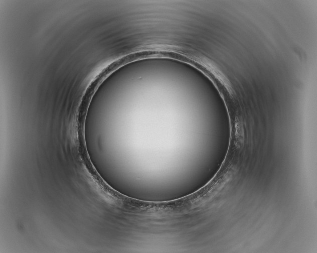 X0000111370972200907101208
