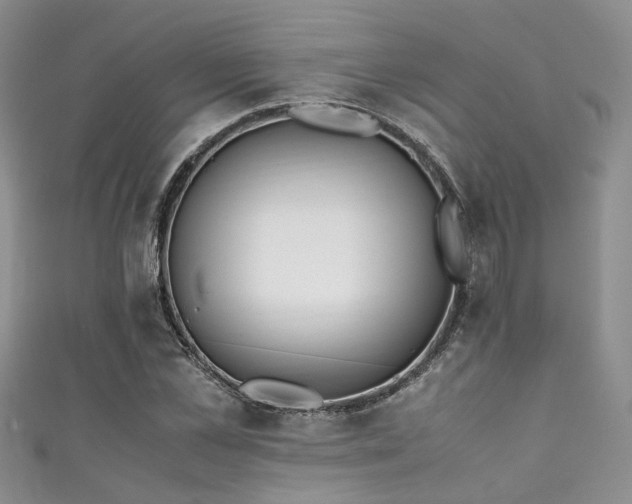 X0000111370973200907101208