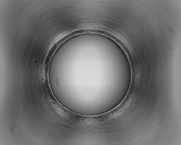 X0000111370974200907101208