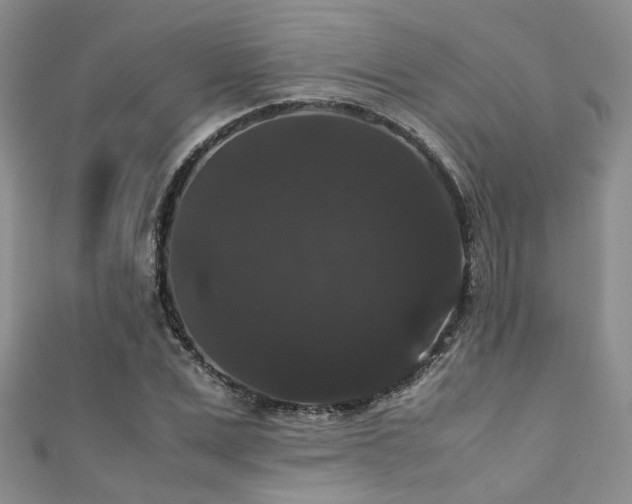 X0000111370975200907101208