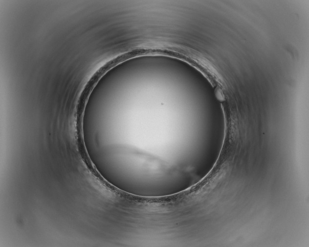 X0000111370976200907101207