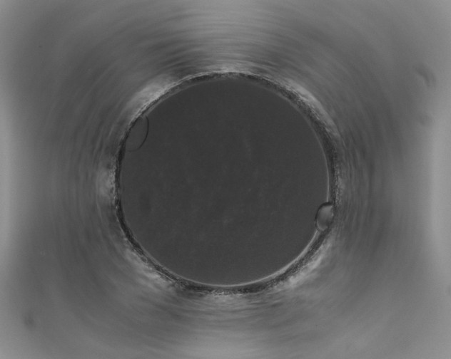 X0000111370977200907101207