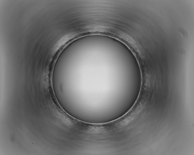 X0000111370978200907101207