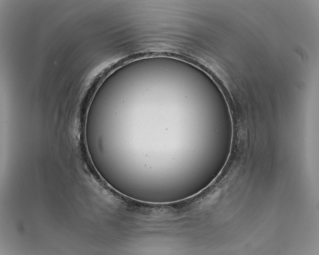 X0000111370979200907101207