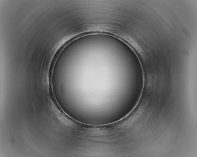 X0000111370980200907101207